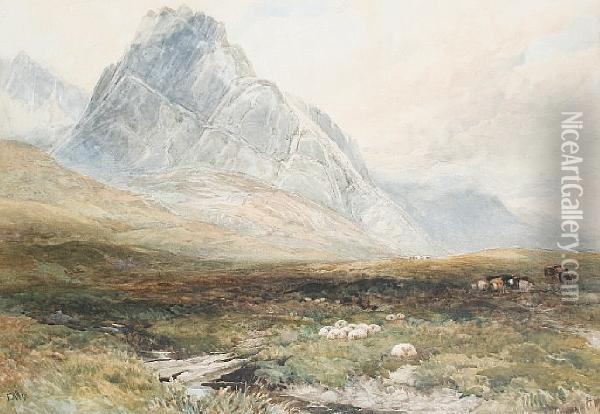 Sheep And Cattle In A Mountain Landscape Oil Painting - Edmund Morison Wimperis