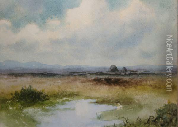 Bogland With Turf Stacks Oil Painting - William Percy French