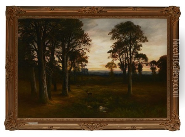 Evening In The Forest, Sluggan, Carrbridge Oil Painting - William Beattie Brown