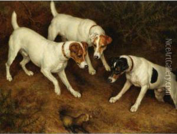 Not At Home: Cracknell, Olive And Jack Russell On A Ferret Oil Painting - Frank Paton