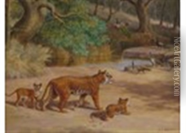 Tigers And Peacocks Oil Painting - John Charles Dollman