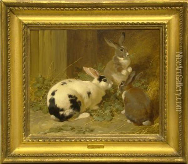 Rabbits Feeding Oil Painting - John Frederick Herring Snr