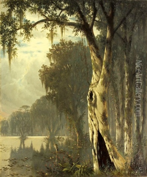 Near Bayou Plaquemine (louisiana) Oil Painting - Joseph Rusling Meeker