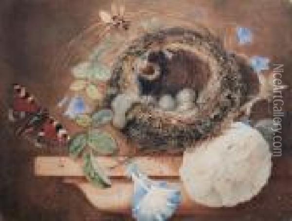 Still Life With Birds Nest On A Ledge Oil Painting - Helen Cordelia Coleman Angell