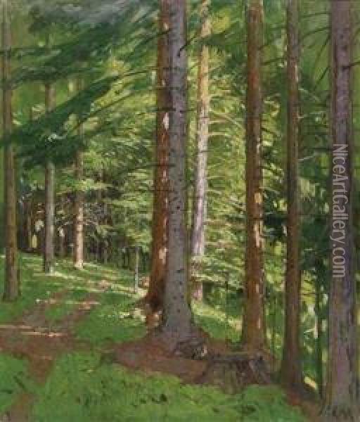 Sunlit Wood Oil Painting - Carl Moll