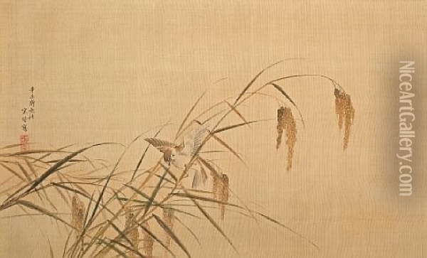 Sparrow In Rice Plants Oil Painting - Nishiyama Kan'Ei