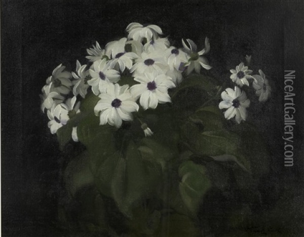 Still Life With White Blooms Oil Painting - Stuart James Park