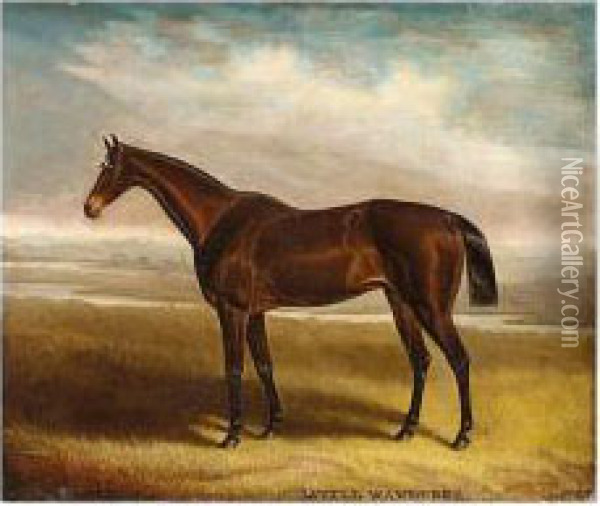 'little Wanderer', A Bay Racehorse In A Landscape Oil Painting - Samuel Spode