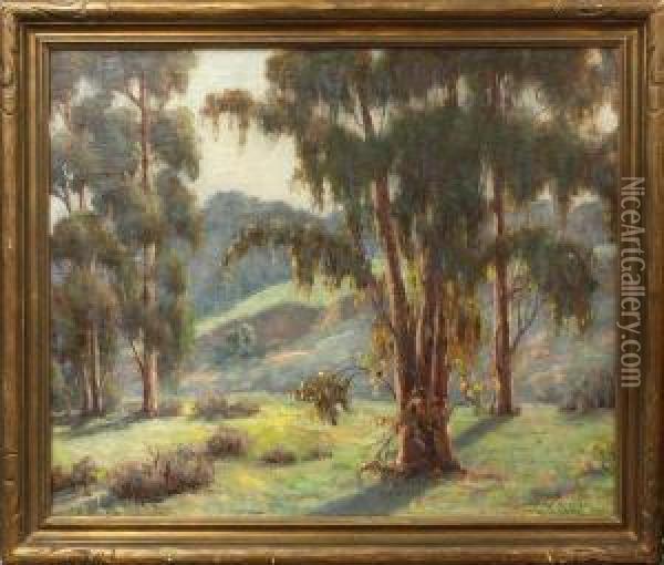 California Landscape With Eucalyptus Trees Oil Painting - Alexander James Webb