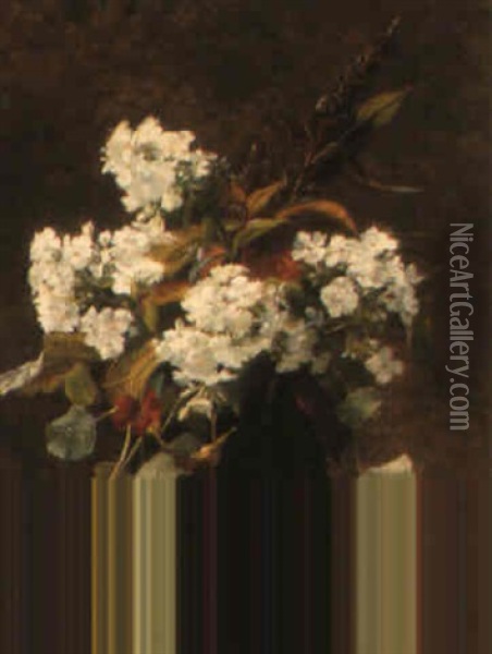 Flowers In A Black Vase Oil Painting - Augusta Dohlmann