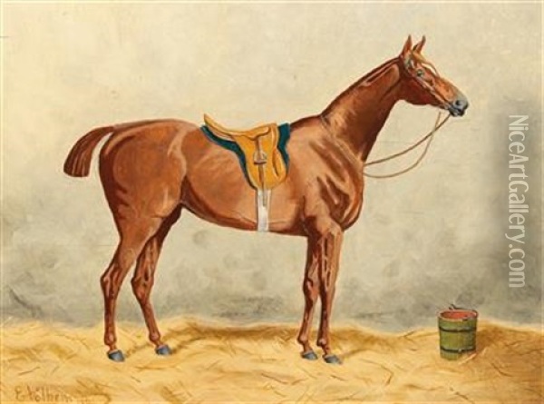 Saddled Horse In The Stable Oil Painting - Emil Volkers