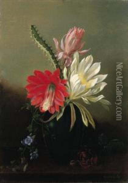 Blooming Cactus Oil Painting - Juan Buckingham Wandesforde