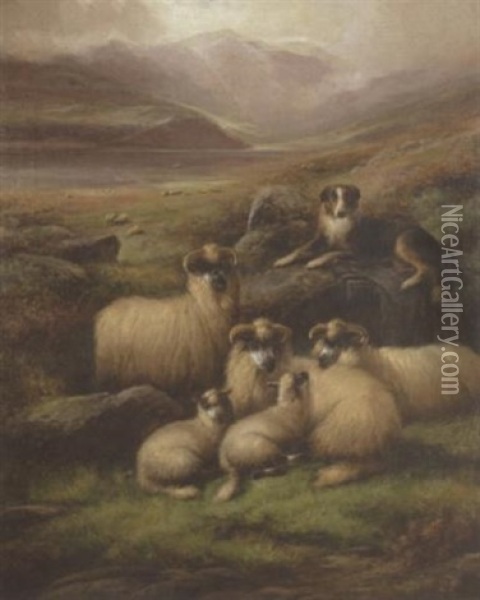 Sheep In A Landscape Oil Painting - John Barker