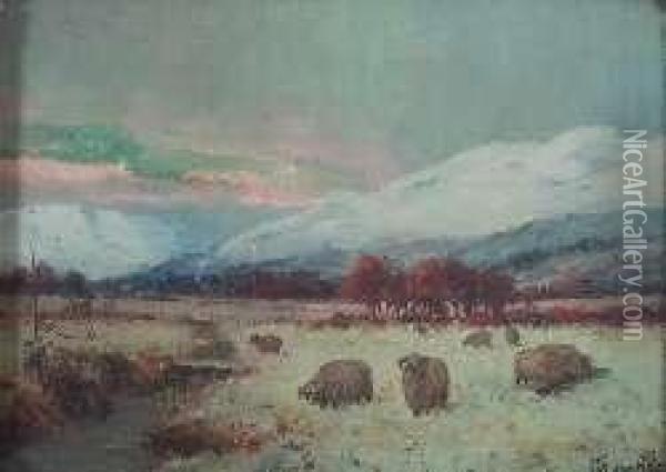 Sheep Grazing In A Snow Covered Landscape Oil Painting - Joseph Denovan Adam