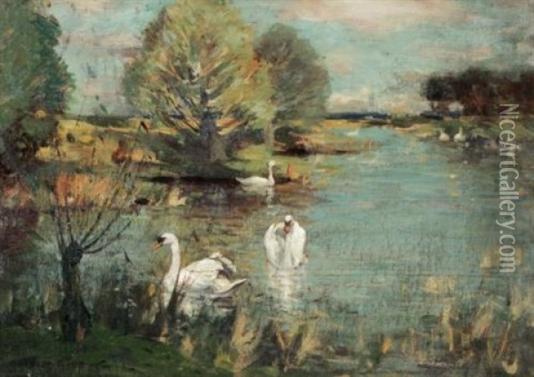 The Swan Lake Oil Painting - John Reid Murray
