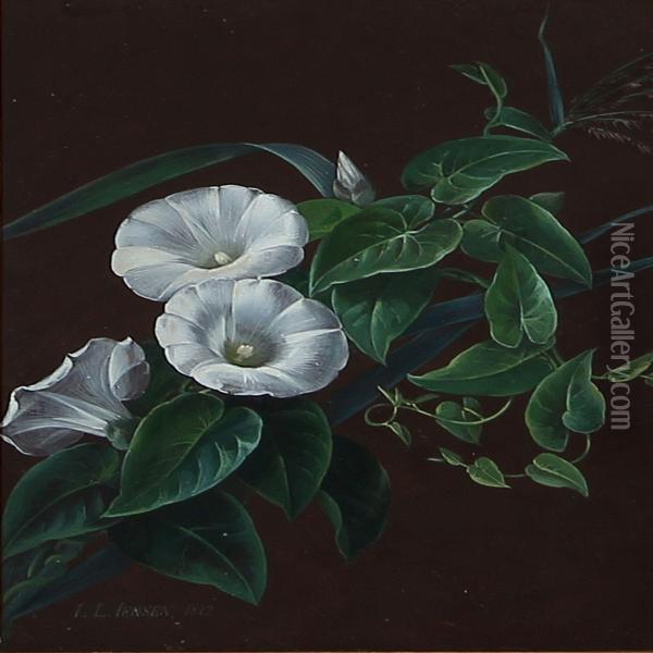 White Bindweed Oil Painting - I.L. Jensen