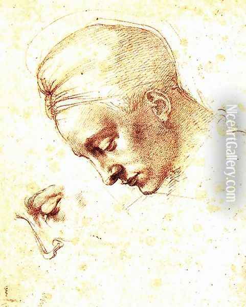 Study of a Head c. 1530 Oil Painting - Michelangelo Buonarroti