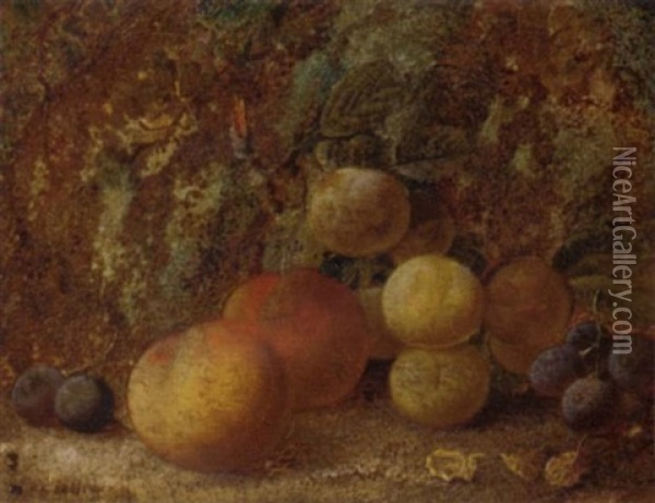 Peaches, Plums And Grapes On A Mossy Bank Oil Painting - Vincent Clare