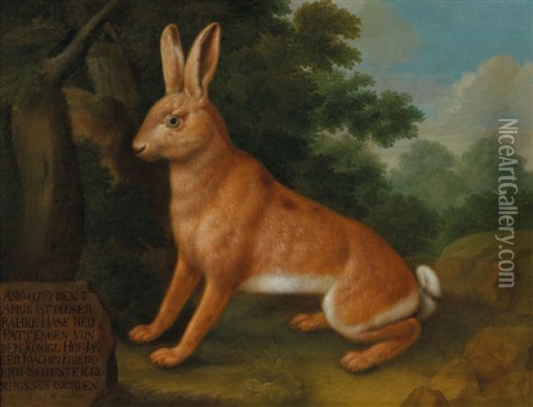 A Hare Oil Painting - Johann Conrad Justus Hunneman