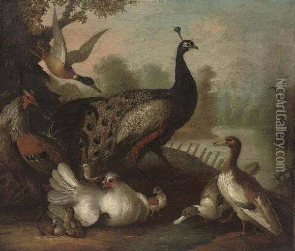 A Peacock, Ducks, Fowl And Other Birds In A Wooded River Landscape Oil Painting - Marmaduke Cradock