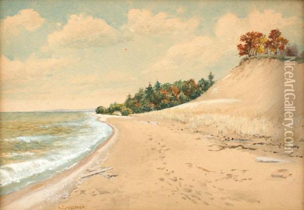 Shoreline Scene Oil Painting - Abner Crossman