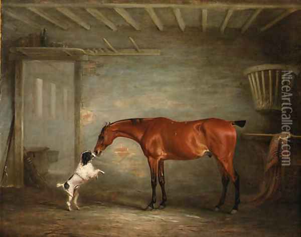 A bay Hunter with a Poodle in a Stable Oil Painting - John Snr Ferneley