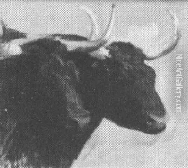 Oxen Oil Painting - Ellen Day Hale