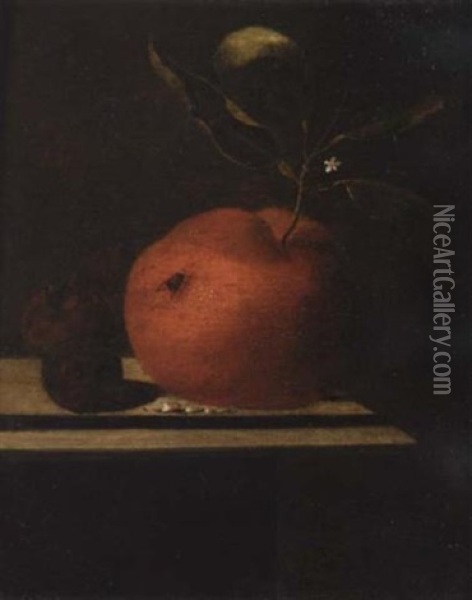 A Still Life Of An Orange And Two Medlars Upon A Ledge Oil Painting - Martinus Nellius