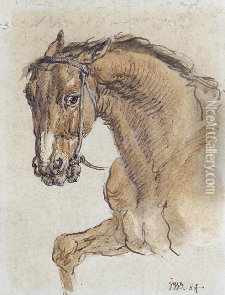 Study Of A Bay Horse Oil Painting - James Ward