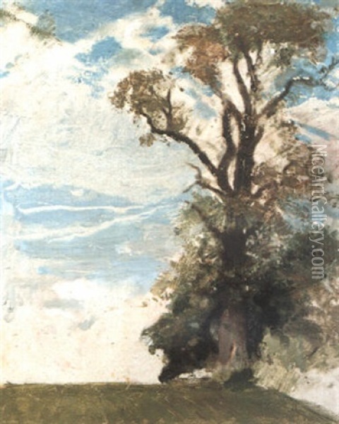An Old Elm, Blewbury, Berkshire Oil Painting - William Nicholson