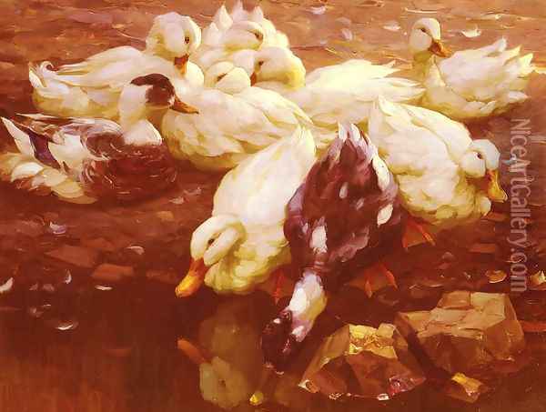 Enten Am Teich (Ducks in the pond) Oil Painting - Alexander Max Koester