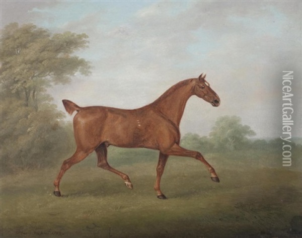Bay Horse With Spaniel Oil Painting - John Nost Sartorius