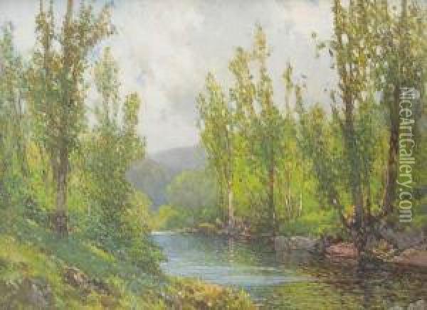 On The River, Near Okehampton Oil Painting - Frederick John Widgery