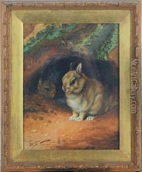 Bunnies By Their Hole Oil Painting - William Henry Hamilton Trood