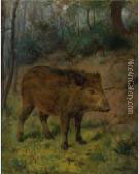A Boar Oil Painting - Rosa Bonheur