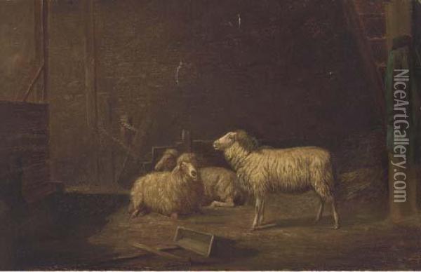 Sheep In A Stable Oil Painting - Eugene Remy Maes