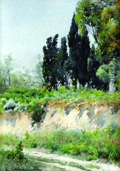 Cypres A Saint Maurice Oil Painting - Jules-Alexandre Gamba De Preydour
