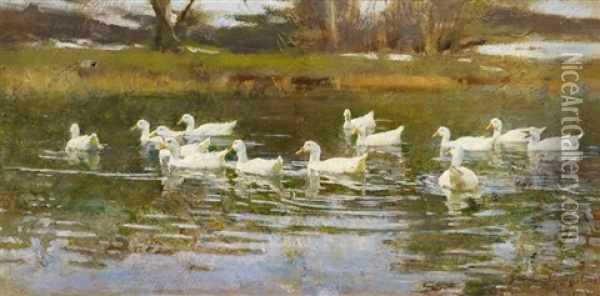 Enten Auf Dem Teich Oil Painting - Franz Graessel