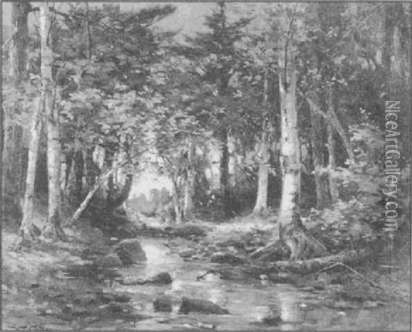 A Woodland Stream Oil Painting - William Malcolm Cutts