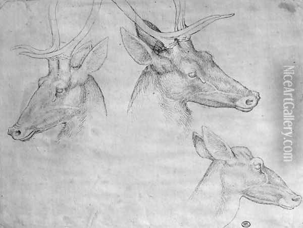 Two heads of stags, one head of a doe, from the The Vallardi Album Oil Painting - Antonio Pisano (Pisanello)