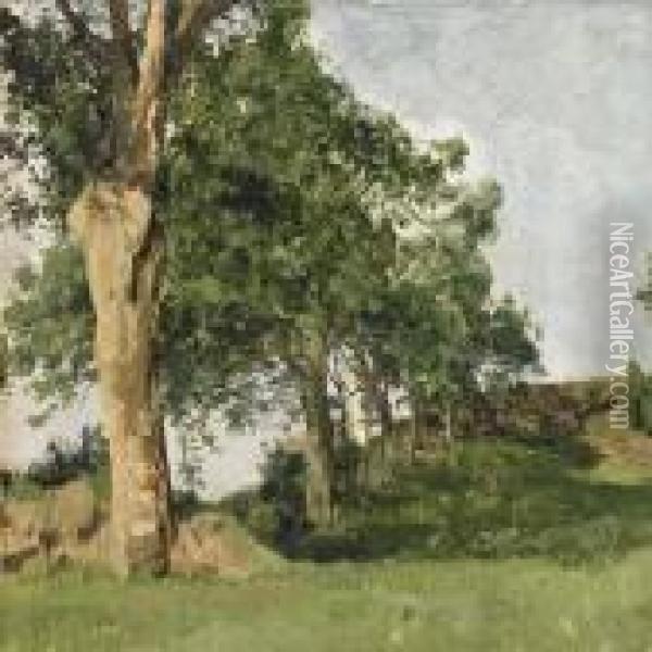 Trees In A Clearing Oil Painting - Janus Andreas La Cour