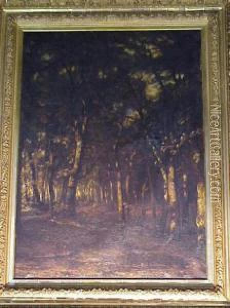 Forest Interior, Black Forest, Germany Oil Painting - Karl Rodeck