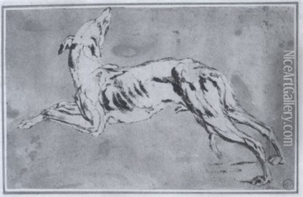 Windhund, Nach Links Springend Oil Painting - Jan Fyt