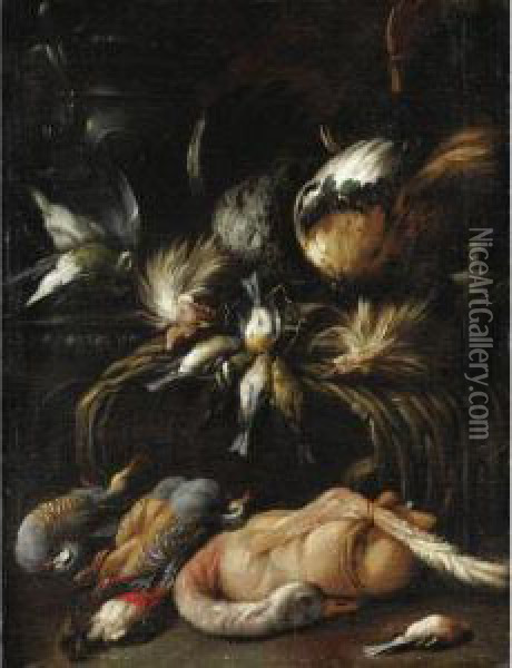 Natura Morta Con Volatili Oil Painting - Angelo Maria Rossi