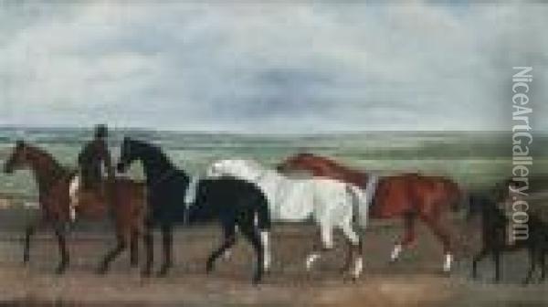 Racehorses Being Exercised On A Heath Oil Painting - John Snr Ferneley