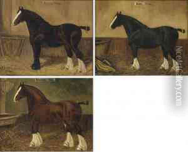 Beauty, A Shire Horse Oil Painting - Herbert Jones