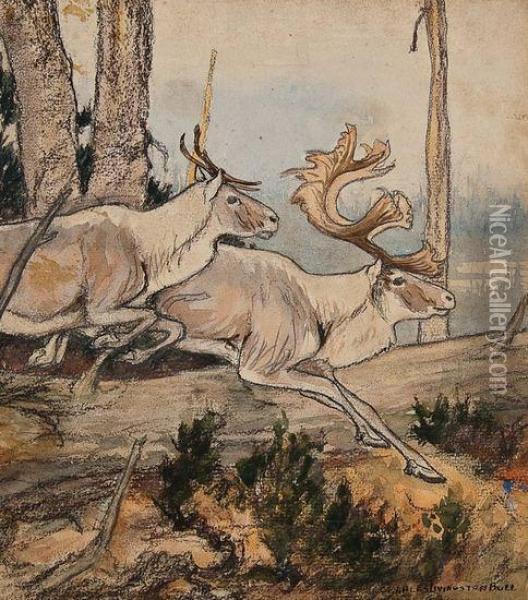 Two Running Moose Oil Painting - Charles Livingston Bull