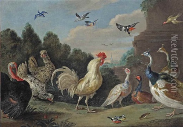 A Cock, Hens, A Turkey, Guinea Fowl, Finches And Other Birds By A Plinth In A Wooded Landscape Oil Painting - Jan van Kessel the Elder