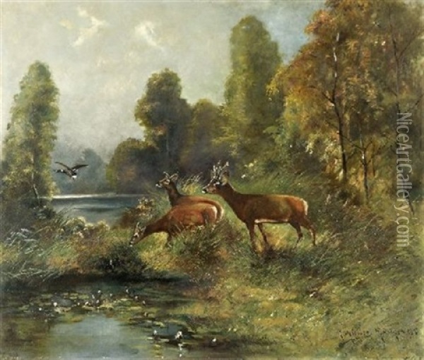 Damwild Oil Painting - Moritz Mueller the Elder