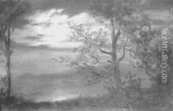 Seelandschaft Mit Baumen Im Mondlicht Oil Painting - Karl Pierre Daubigny